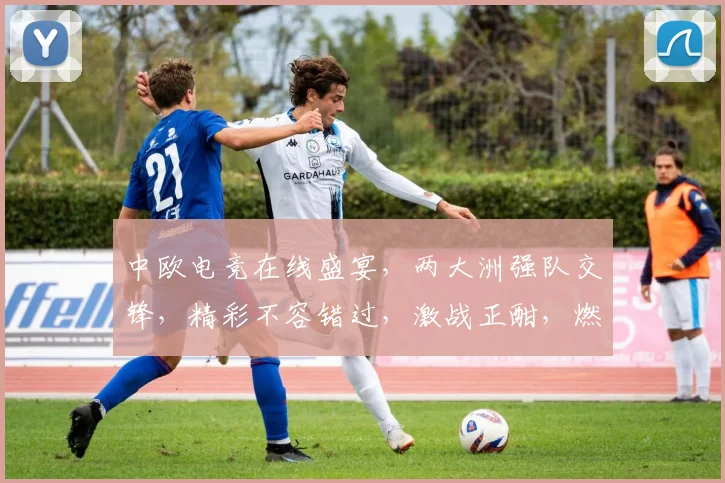 中欧电竞在线盛宴，两大洲强队交锋，精彩不容错过，激战正酣，燃情夏季