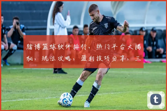 赌博篮球软件排行，热门平台大揭秘，玩法攻略，盈利技巧分享，三大必备神器