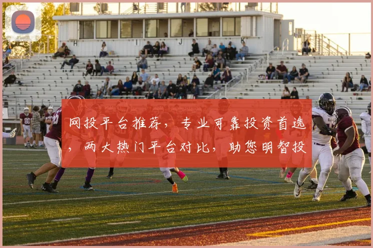 网投平台推荐，专业可靠投资首选，两大热门平台对比，助您明智投资