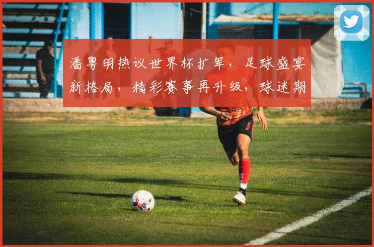 潘粤明热议世界杯扩军，足球盛宴新格局，精彩赛事再升级，球迷期待值飙升