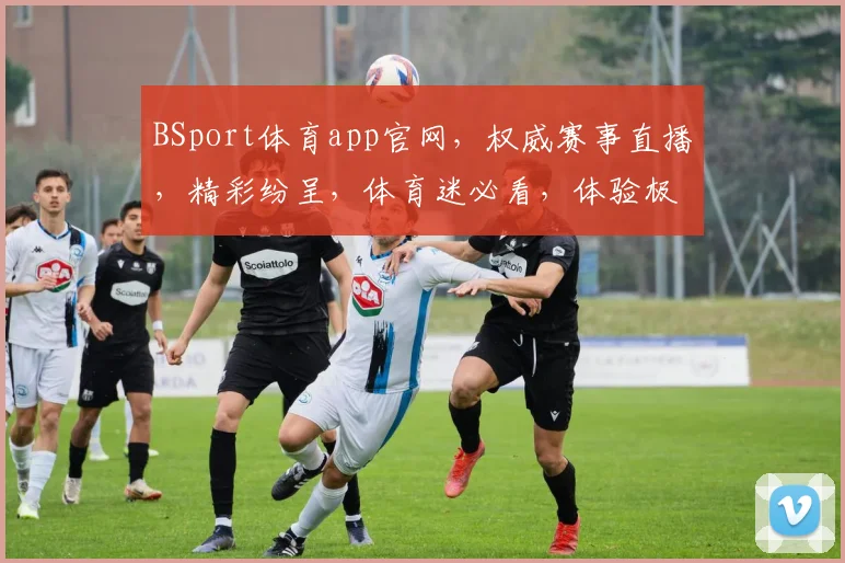 BSport体育app官网，权威赛事直播，精彩纷呈，体育迷必看，体验极速流畅