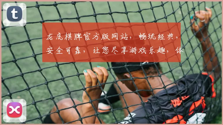 龙虎棋牌官方版网站，畅玩经典，安全可靠，让您尽享游戏乐趣，体验双重惊喜
